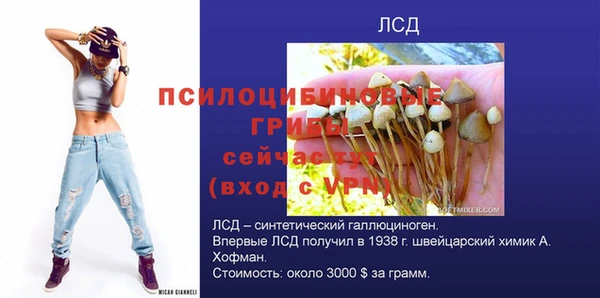эйфоретик Сатка