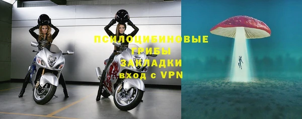 амф Алексеевка